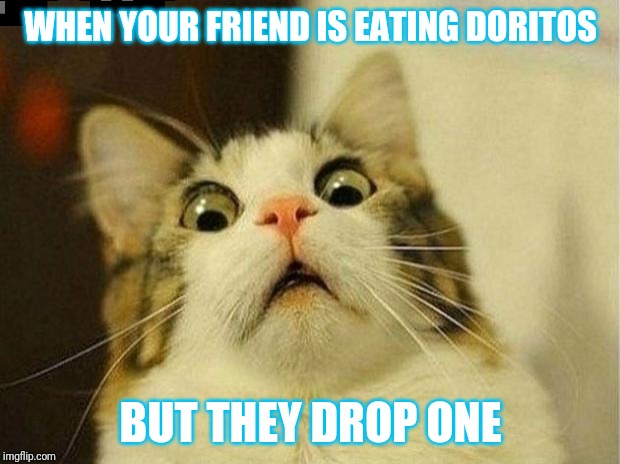 Scared Cat Meme | WHEN YOUR FRIEND IS EATING DORITOS; BUT THEY DROP ONE | image tagged in memes,scared cat | made w/ Imgflip meme maker