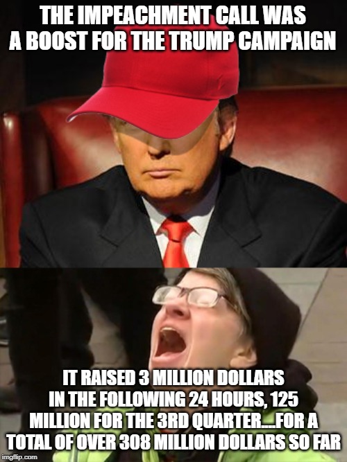 Trump Hat No | THE IMPEACHMENT CALL WAS A BOOST FOR THE TRUMP CAMPAIGN; IT RAISED 3 MILLION DOLLARS IN THE FOLLOWING 24 HOURS, 125 MILLION FOR THE 3RD QUARTER....FOR A TOTAL OF OVER 308 MILLION DOLLARS SO FAR | image tagged in trump hat no | made w/ Imgflip meme maker
