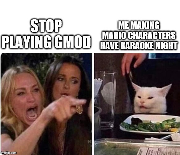 Lady screams at cat | ME MAKING MARIO CHARACTERS
HAVE KARAOKE NIGHT; STOP PLAYING GMOD | image tagged in lady screams at cat | made w/ Imgflip meme maker