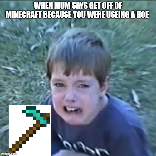 lannan's Hoes | WHEN MUM SAYS GET OFF OF MINECRAFT BECAUSE YOU WERE USEING A HOE | image tagged in sad lannan lazarbeam | made w/ Imgflip meme maker