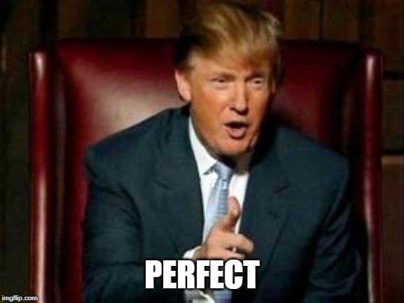 Donald Trump | PERFECT | image tagged in donald trump | made w/ Imgflip meme maker