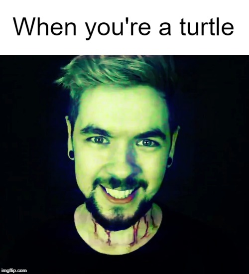 "NOTHING CAN GET RID OF ME, I . . . AM A TURTLE!!!" | When you're a turtle | image tagged in anti,jacksepticeye,turtle | made w/ Imgflip meme maker
