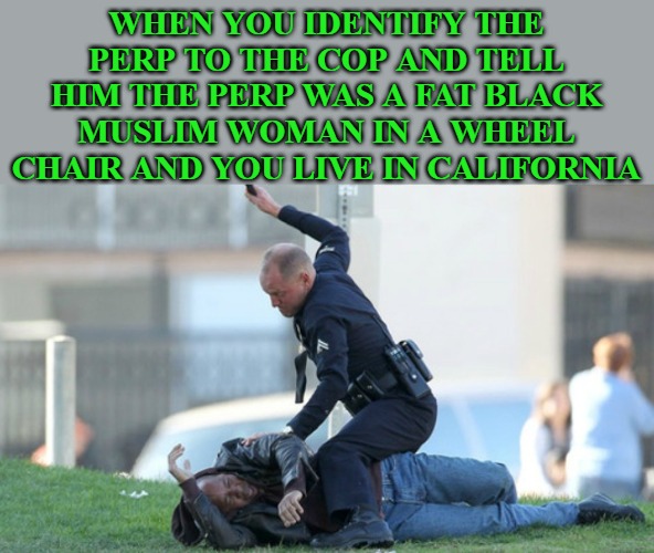 She's getting away, officer!.. ouch!... She has my wallet!... ouch! | WHEN YOU IDENTIFY THE PERP TO THE COP AND TELL HIM THE PERP WAS A FAT BLACK MUSLIM WOMAN IN A WHEEL CHAIR AND YOU LIVE IN CALIFORNIA | image tagged in cop beating,identity politics | made w/ Imgflip meme maker