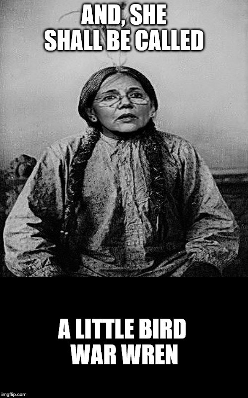 morning dove had a daughter | AND, SHE SHALL BE CALLED; A LITTLE BIRD 
WAR WREN | image tagged in memes,elizabeth warren,funny,political memes | made w/ Imgflip meme maker