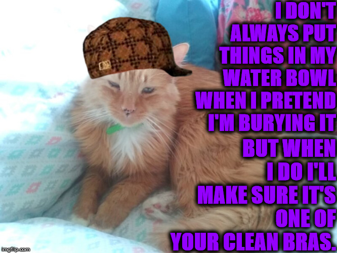 I DON'T ALWAYS | I DON'T ALWAYS PUT THINGS IN MY WATER BOWL WHEN I PRETEND I'M BURYING IT; BUT WHEN I DO I'LL MAKE SURE IT'S ONE OF YOUR CLEAN BRAS. | image tagged in i don't always | made w/ Imgflip meme maker