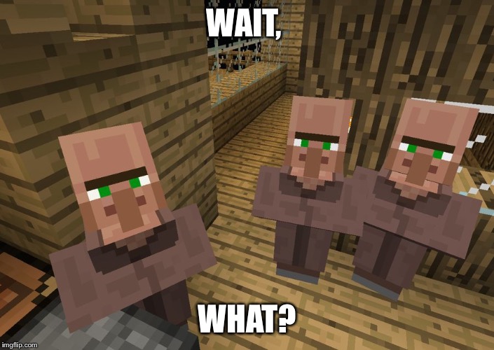 Minecraft Villagers | WAIT, WHAT? | image tagged in minecraft villagers | made w/ Imgflip meme maker