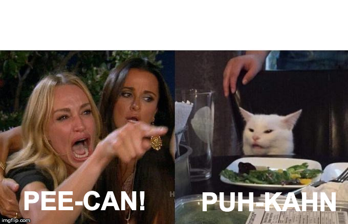Woman Yelling At Cat Meme | PEE-CAN! PUH-KAHN | image tagged in memes,woman yelling at a cat | made w/ Imgflip meme maker