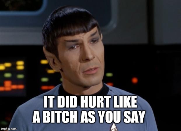 Spock Illogical | IT DID HURT LIKE A B**CH AS YOU SAY | image tagged in spock illogical | made w/ Imgflip meme maker