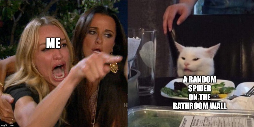 Woman yelling at cat | ME; A RANDOM SPIDER ON THE BATHROOM WALL | image tagged in woman yelling at cat | made w/ Imgflip meme maker