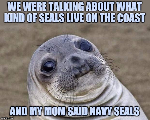 Awkward Moment Sealion Meme | WE WERE TALKING ABOUT WHAT KIND OF SEALS LIVE ON THE COAST; AND MY MOM SAID NAVY SEALS | image tagged in memes,awkward moment sealion | made w/ Imgflip meme maker