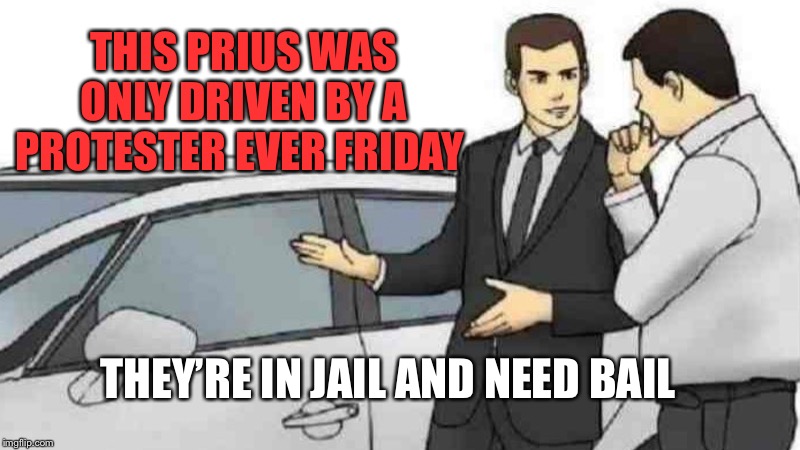 Car Salesman Slaps Roof Of Car | THIS PRIUS WAS ONLY DRIVEN BY A PROTESTER EVER FRIDAY; THEY’RE IN JAIL AND NEED BAIL | image tagged in memes,car salesman slaps roof of car | made w/ Imgflip meme maker