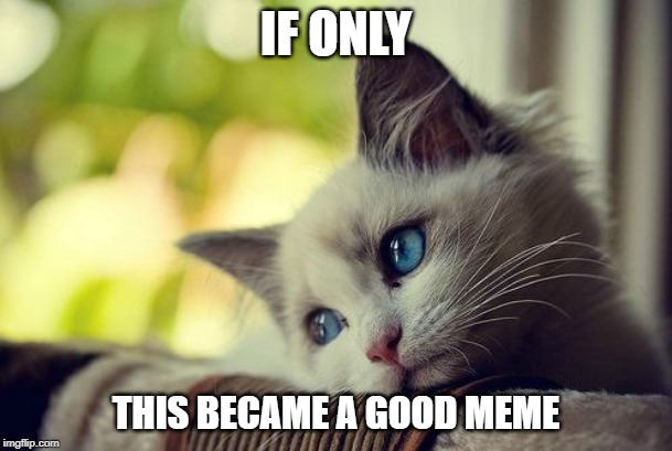 First World Problems Cat | IF ONLY; THIS BECAME A GOOD MEME | image tagged in memes,first world problems cat | made w/ Imgflip meme maker