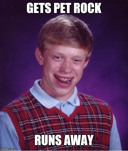 Bad Luck Brian | GETS PET ROCK; RUNS AWAY | image tagged in memes,bad luck brian | made w/ Imgflip meme maker