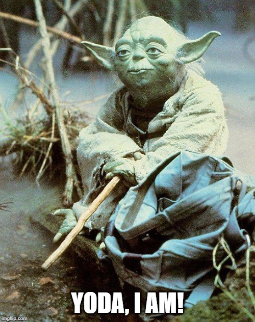 Yoda, I am! | YODA, I AM! | image tagged in yoda | made w/ Imgflip meme maker