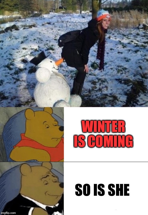 WINTER IS COMING; SO IS SHE | image tagged in memes,tuxedo winnie the pooh | made w/ Imgflip meme maker