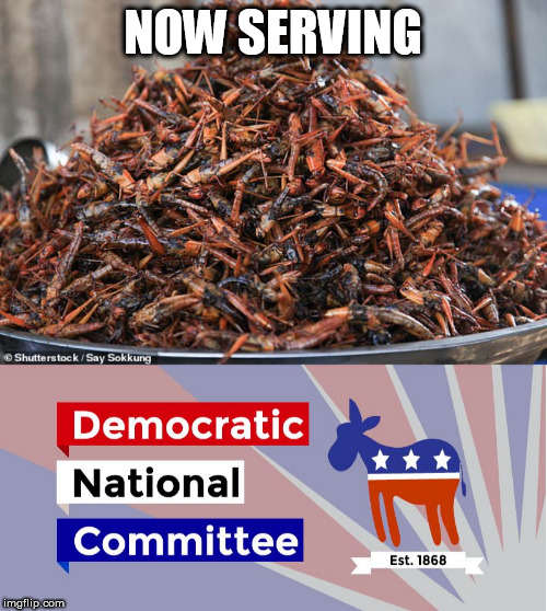 NOW SERVING | image tagged in dnc,lefty dinner | made w/ Imgflip meme maker