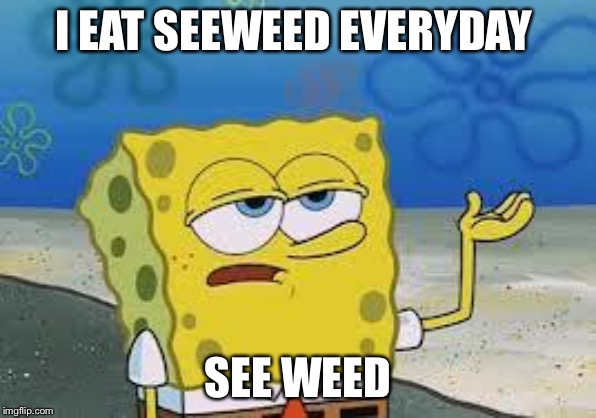 Tough Spongebob | I EAT SEEWEED EVERYDAY; SEE WEED | image tagged in tough spongebob | made w/ Imgflip meme maker