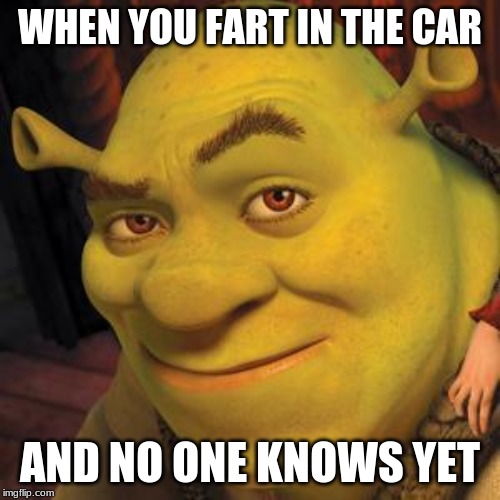 Shrek Sexy Face | WHEN YOU FART IN THE CAR; AND NO ONE KNOWS YET | image tagged in shrek sexy face | made w/ Imgflip meme maker