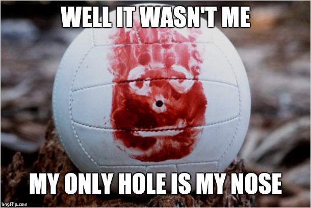 Wilson volleyball Castaway | WELL IT WASN'T ME MY ONLY HOLE IS MY NOSE | image tagged in wilson volleyball castaway | made w/ Imgflip meme maker