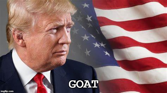 Donald Trump GOAT | GOAT | image tagged in goat,donald trump,president trump,republicans,politics,democrats | made w/ Imgflip meme maker