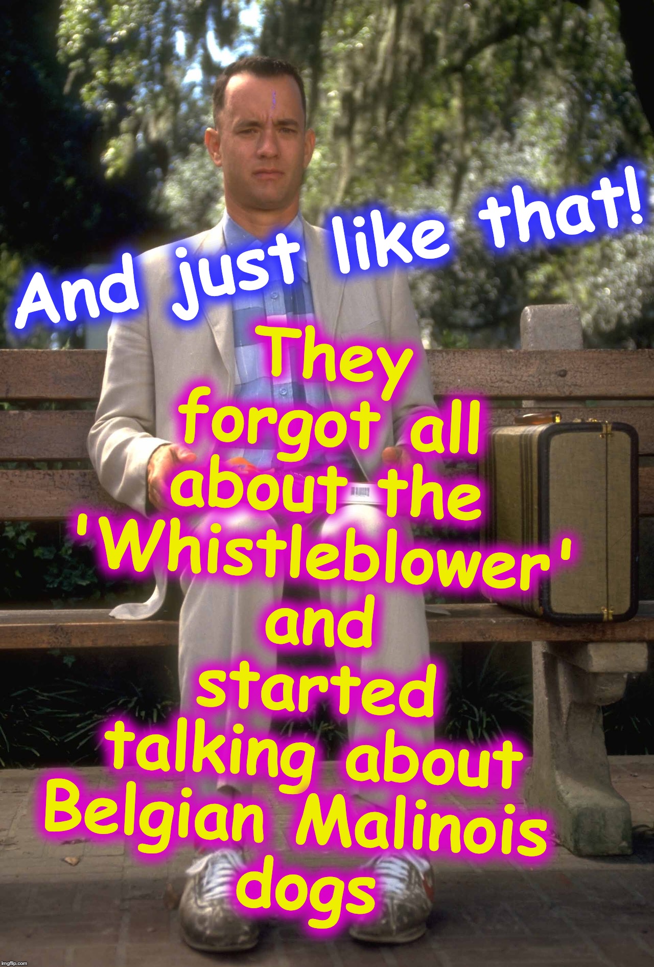 Forrest Gump | They forgot all about the 'Whistleblower' and started talking about Belgian Malinois 
dogs; And just like that! | image tagged in forrest gump | made w/ Imgflip meme maker