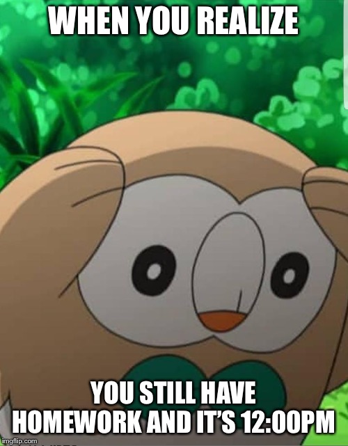 Rowlet Pokemon Meme | WHEN YOU REALIZE; YOU STILL HAVE HOMEWORK AND IT’S 12:00PM | image tagged in rowlet pokemon meme | made w/ Imgflip meme maker