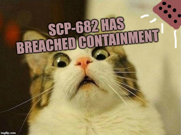 Scared Cat Meme | SCP-682 HAS BREACHED CONTAINMENT | image tagged in memes,scared cat | made w/ Imgflip meme maker