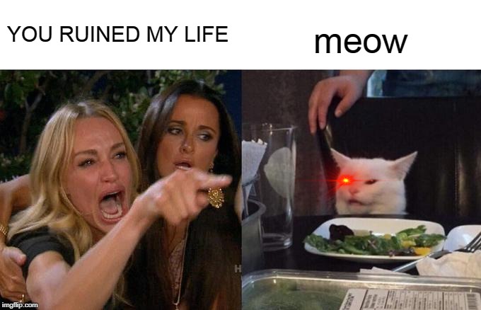 Woman Yelling At Cat | YOU RUINED MY LIFE; meow | image tagged in memes,woman yelling at a cat | made w/ Imgflip meme maker