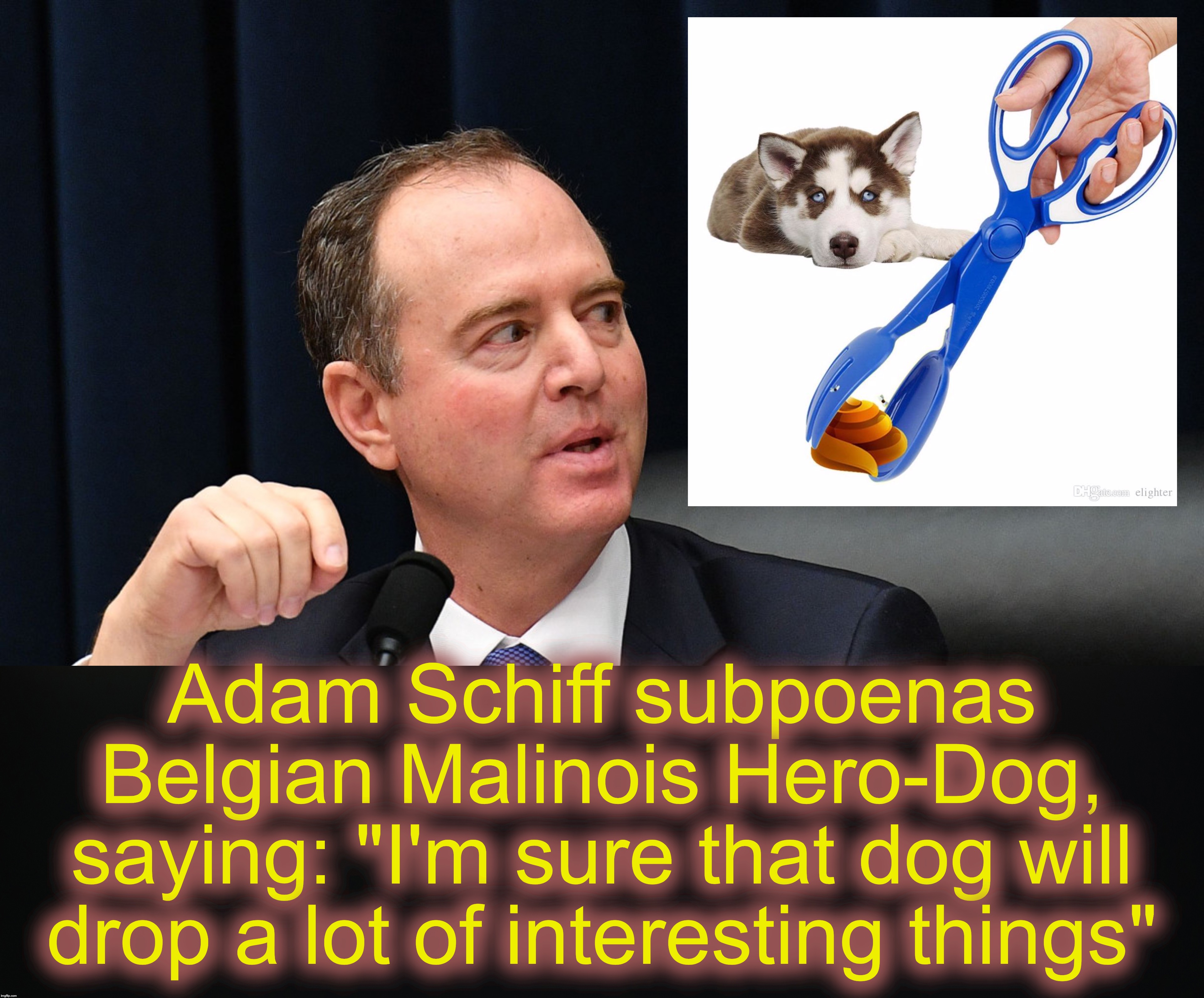 Adam Schiff subpoenas Belgian Malinois Hero-Dog, saying: "I'm sure that dog will drop a lot of interesting things" | image tagged in adam schiff,conan | made w/ Imgflip meme maker