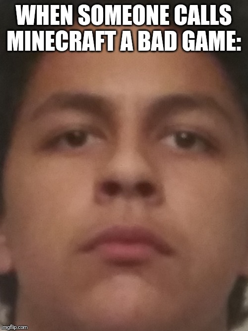 Wtf 2 | WHEN SOMEONE CALLS MINECRAFT A BAD GAME: | image tagged in memes | made w/ Imgflip meme maker