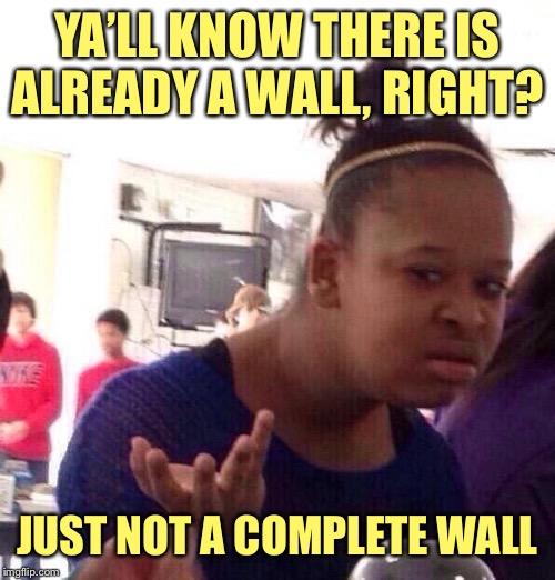 Black Girl Wat Meme | YA’LL KNOW THERE IS ALREADY A WALL, RIGHT? JUST NOT A COMPLETE WALL | image tagged in memes,black girl wat | made w/ Imgflip meme maker