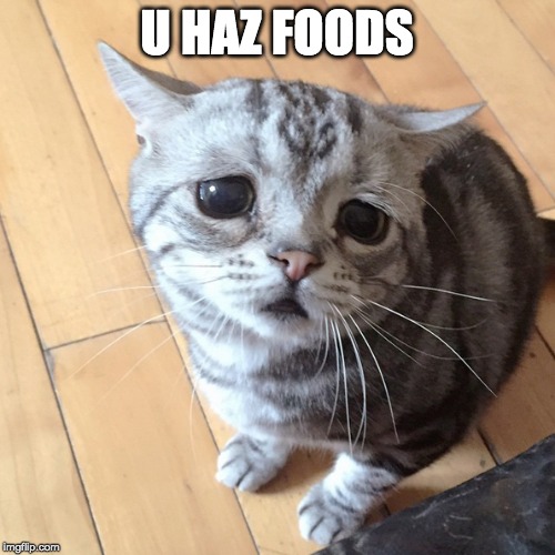 U HAZ FOODS | made w/ Imgflip meme maker