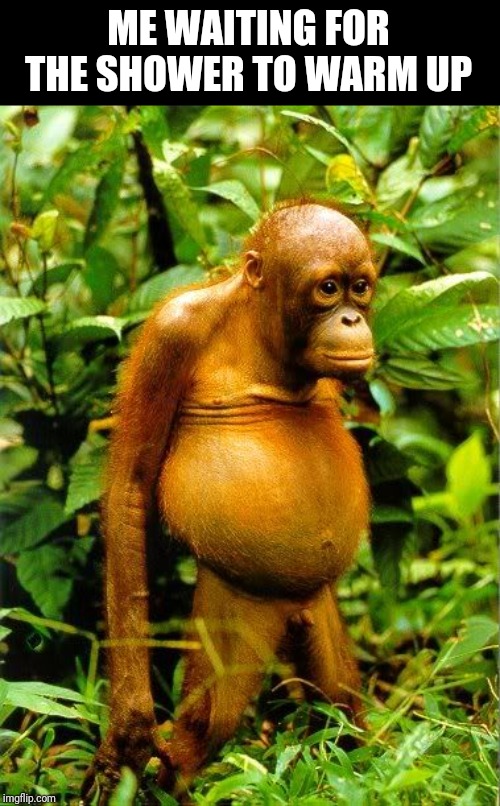 Orangutan | ME WAITING FOR THE SHOWER TO WARM UP | image tagged in orangutan | made w/ Imgflip meme maker