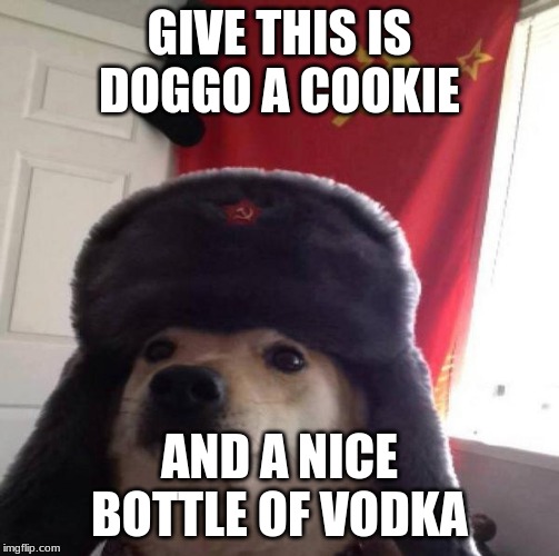 Russian Doge | GIVE THIS IS DOGGO A COOKIE; AND A NICE BOTTLE OF VODKA | image tagged in russian doge | made w/ Imgflip meme maker
