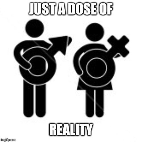 There Is Only Two | JUST A DOSE OF; REALITY | image tagged in there is only two | made w/ Imgflip meme maker