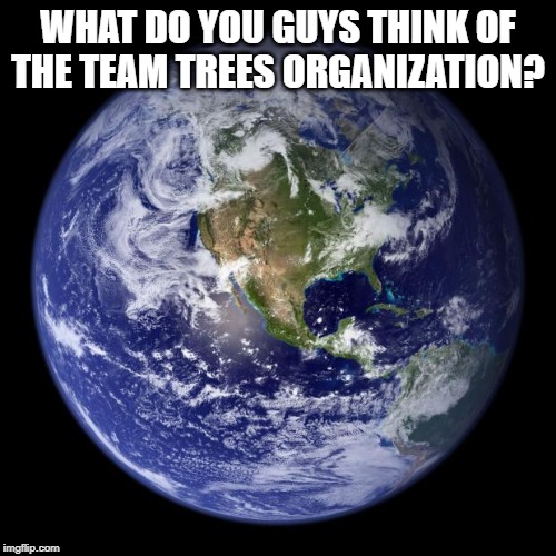 earth | WHAT DO YOU GUYS THINK OF THE TEAM TREES ORGANIZATION? | image tagged in earth | made w/ Imgflip meme maker
