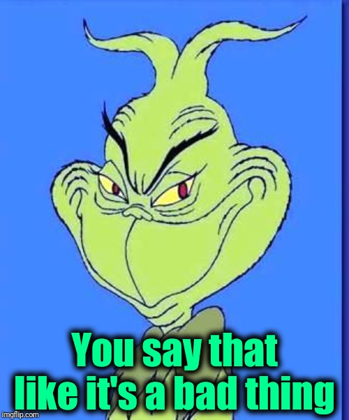 Good Grinch | You say that like it's a bad thing | image tagged in good grinch | made w/ Imgflip meme maker