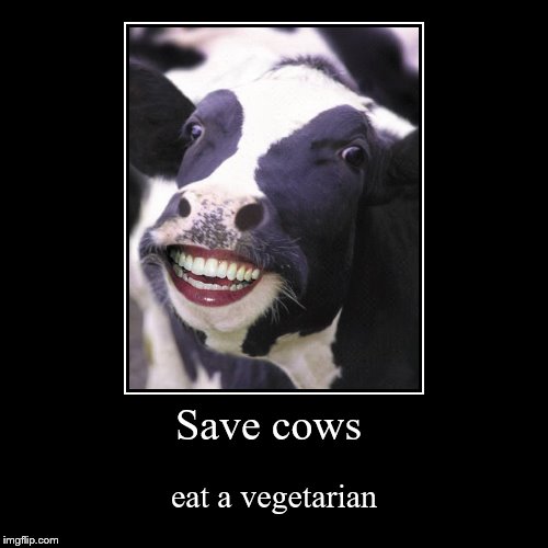 Save cows | eat a vegetarian | image tagged in funny,demotivationals | made w/ Imgflip demotivational maker