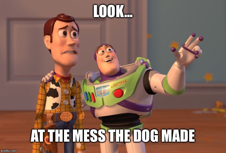 X, X Everywhere Meme | LOOK... AT THE MESS THE DOG MADE | image tagged in memes,x x everywhere | made w/ Imgflip meme maker