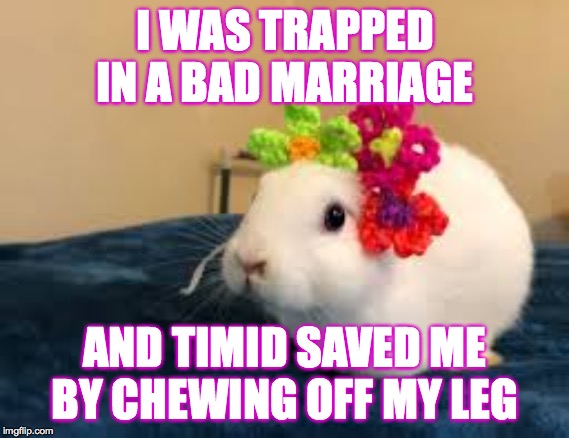 That's what heroes do.  Roast TimidDeer weekend  ( : | I WAS TRAPPED IN A BAD MARRIAGE; AND TIMID SAVED ME BY CHEWING OFF MY LEG | image tagged in memes,roast timiddeer,that's what heroes do | made w/ Imgflip meme maker