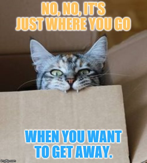 NO, NO, IT'S JUST WHERE YOU GO WHEN YOU WANT TO GET AWAY. | made w/ Imgflip meme maker