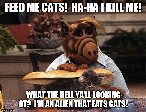 ALF says FEED ME CATS | FEED ME CATS!  HA-HA I KILL ME! WHAT THE HELL YA'LL LOOKING AT?  I'M AN ALIEN THAT EATS CATS! | image tagged in alf,cats | made w/ Imgflip meme maker