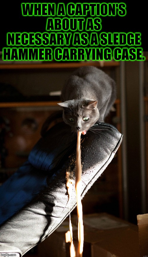 Cat vomit | WHEN A CAPTION'S ABOUT AS NECESSARY AS A SLEDGE HAMMER CARRYING CASE. | image tagged in cat vomit | made w/ Imgflip meme maker