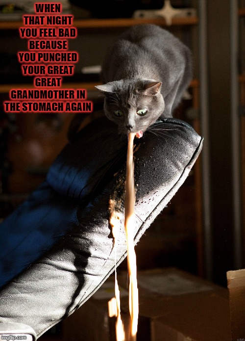 Cat vomit | WHEN THAT NIGHT YOU FEEL BAD BECAUSE YOU PUNCHED YOUR GREAT GREAT GRANDMOTHER IN THE STOMACH AGAIN | image tagged in cat vomit | made w/ Imgflip meme maker