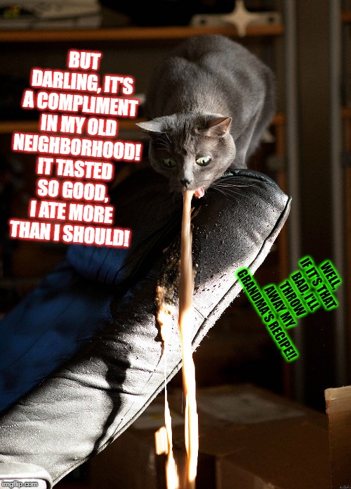 Cat vomit | BUT DARLING, IT'S A COMPLIMENT IN MY OLD NEIGHBORHOOD! IT TASTED SO GOOD, I ATE MORE THAN I SHOULD! WELL, IF IT'S THAT BAD, I'LL THROW AWAY MY GRANDMA'S RECIPE!! | image tagged in cat vomit | made w/ Imgflip meme maker