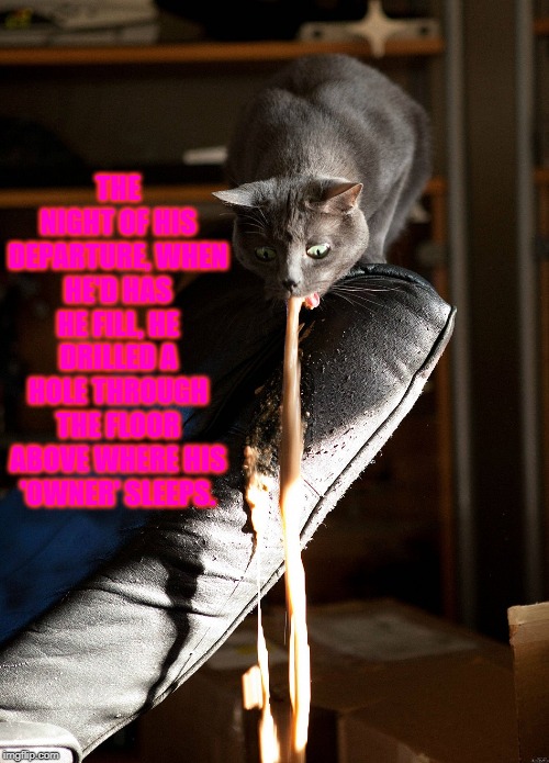 Cat vomit | THE NIGHT OF HIS DEPARTURE, WHEN HE'D HAS HE FILL, HE DRILLED A HOLE THROUGH THE FLOOR ABOVE WHERE HIS 'OWNER' SLEEPS. | image tagged in cat vomit | made w/ Imgflip meme maker