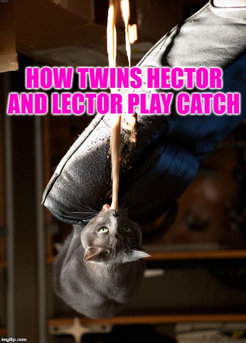 Cat vomit | HOW TWINS HECTOR AND LECTOR PLAY CATCH | image tagged in cat vomit | made w/ Imgflip meme maker