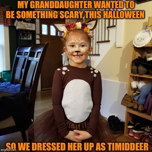 Last one TD! The Recreation Roast of Timiddeer ends today! (Thanks everyone that played along) | MY GRANDDAUGHTER WANTED TO BE SOMETHING SCARY THIS HALLOWEEN; SO WE DRESSED HER UP AS TIMIDDEER | image tagged in recreation roast event | made w/ Imgflip meme maker