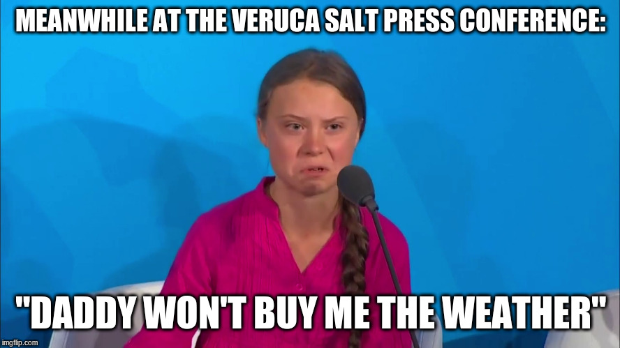 Poor thing | MEANWHILE AT THE VERUCA SALT PRESS CONFERENCE:; "DADDY WON'T BUY ME THE WEATHER" | image tagged in how dare you - greta thunberg | made w/ Imgflip meme maker