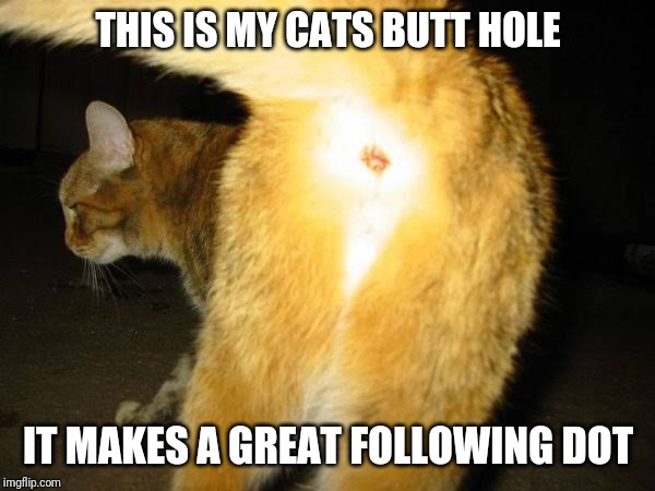 Cats Dot | THIS IS MY CATS BUTT HOLE; IT MAKES A GREAT FOLLOWING DOT | image tagged in cat,butt,ass,asshole,follow | made w/ Imgflip meme maker
